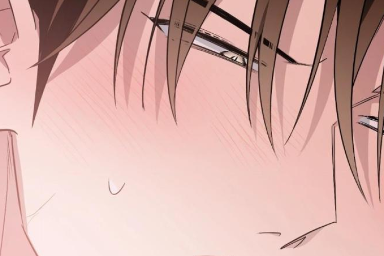 RAW Leer Manhwa ¡Dame un bebé lince, si no quieres verme enloquecer! Capítulo 14 en Español Scan, tener un sueño juntos