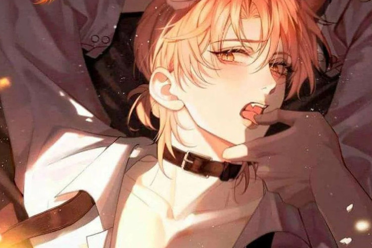 Leer Manhwa Malos mimos Capítulo Completo en Español Scan, El Dominante Rey Lobo Alfa X El Gato Naranja