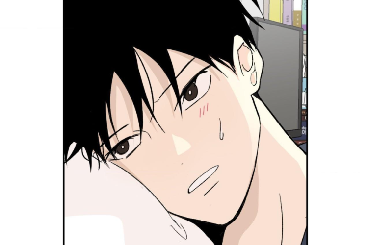Enlace Leer Manhwa BL Summer Night Lupine! Full Capítulo en Español, ¡Incluida La Sinopsis Más Reciente!