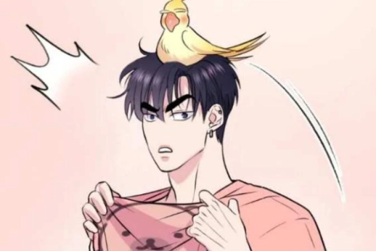 Leer Respect For Taste (Se respeta tu gusto) Manhwa Capítulo 13 Español Sub, Después de una cita memorable