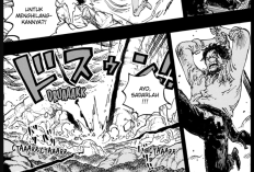 Update! Leer el Manga One Piece Capítulo 1166 en Español, Viendo la caída de Rocks D. Xebec