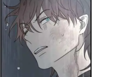 Manhwa BL Our Sunny Days Capítulo 76 en Español RAW, La lluvia no será un obstáculo